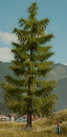 NOC21817 - Spar 18.5 cm - 1