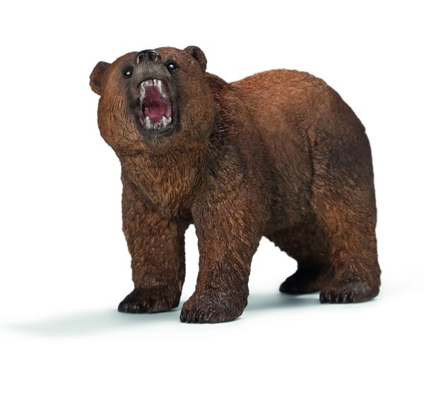 SHL14685 - Grizzly beer - 1