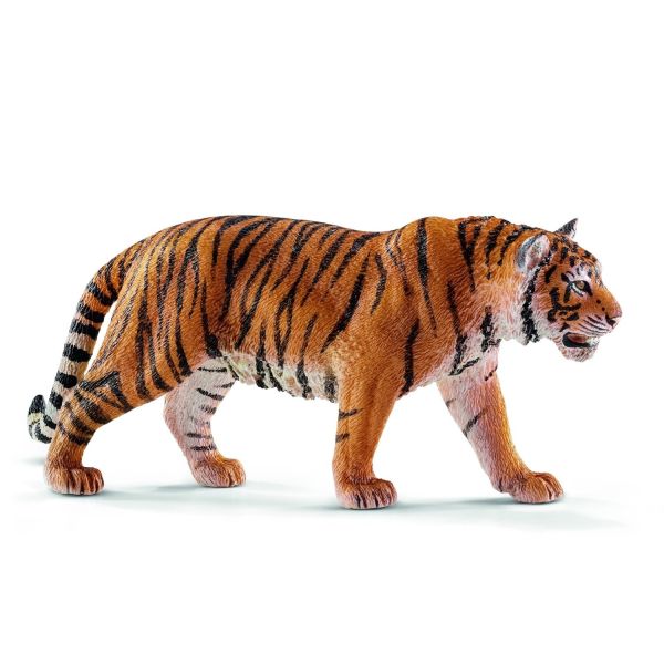 SHL14729 - mannelijke Bengaalse tijger - 1