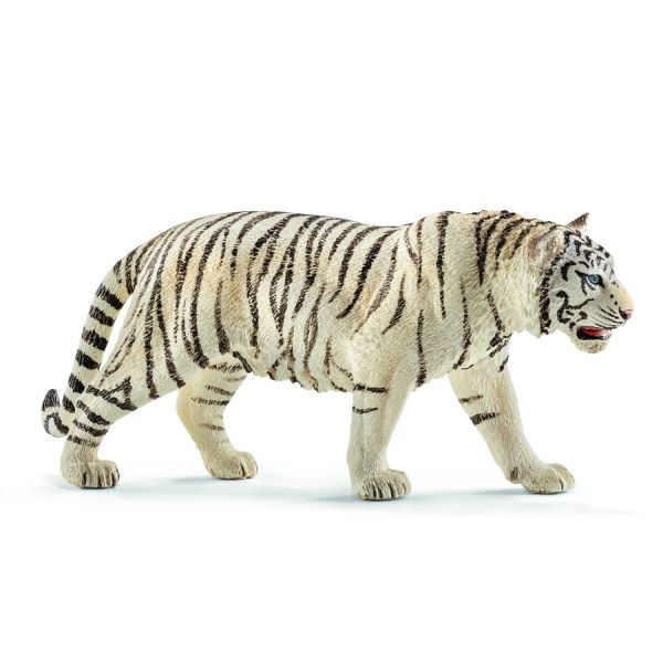 SHL14731 - mannelijke witte tijger - 1