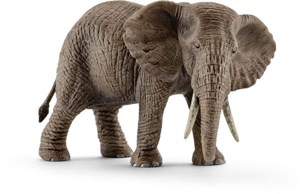 SHL14761 - vrouwelijke Afrikaanse olifant - 1