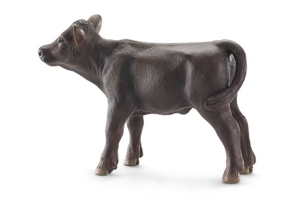 SHL13768 - Angus Kalf - 1
