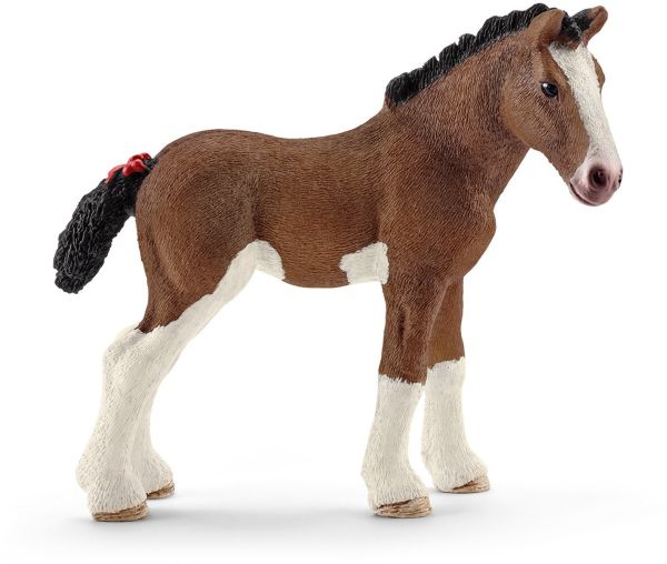 SHL13810 - Clydesdale veulen - 1