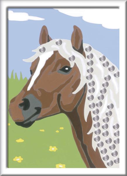 RAV27683 - Art nummer - Paard en pailletten - 13 x 18 cm - 1