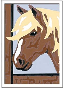 RAV29661 - Art nummer - Mooie pony - 8.5 x 12 cm - 1