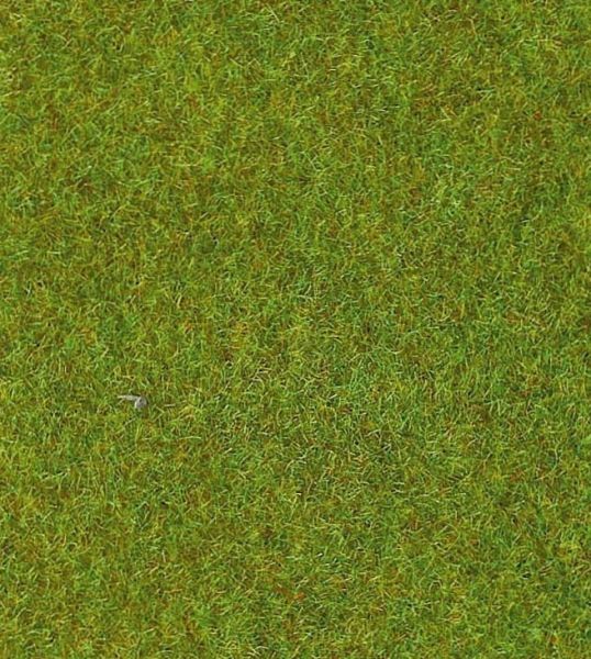 HEK30902 - Lichtgroene grasmat - 100x200 cm - 1