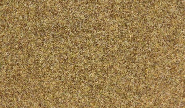 HEK33521 - Bosgrasvezel 2-3 mm - 50 g - 1