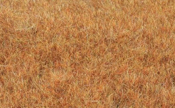 HEK33545 - Grasvezel late herfst 5-6 mm - 75g - 1