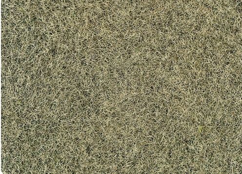 HEK33540 - Stroomden wintergras 75 g. 5-6 mm - 1
