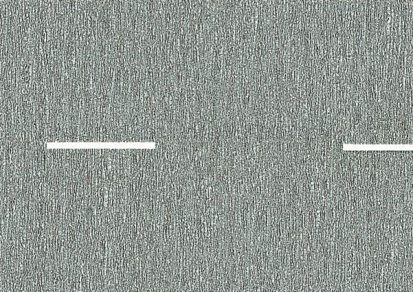 NOC34100 - 2 grote walsen 100 x 2;9 cm - 1