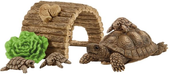SHL42506 - huis voor schildpadden - 1