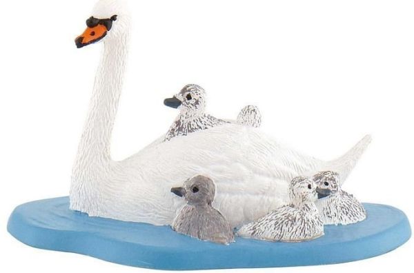 BUL62322 - Zwaan familie - 1