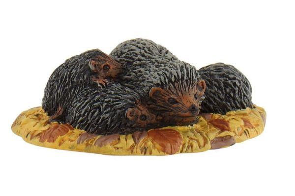 BUL64452 - egel familie - 1