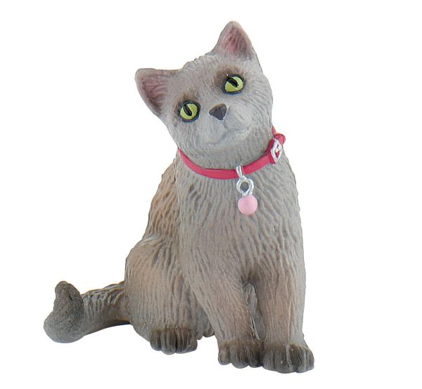 BUL66372 - Russische kat - 1