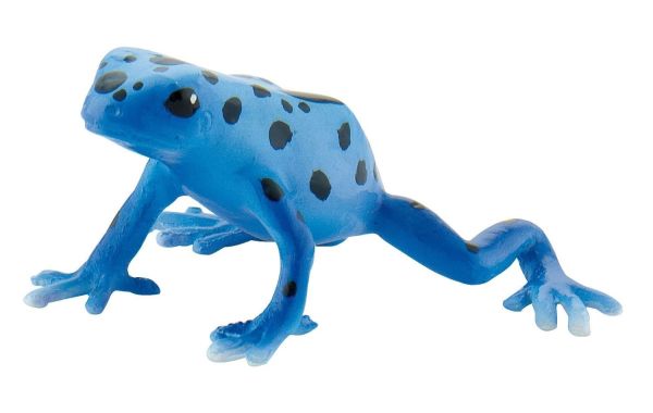 BUL68515 - Kikkerblauw - 1