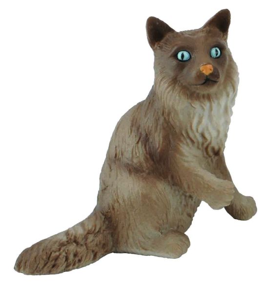 COLL88321 - zittende kat - 1