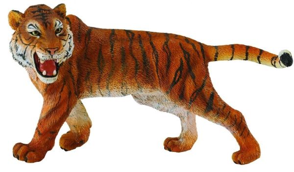 COLL88410 - Tijger - 1