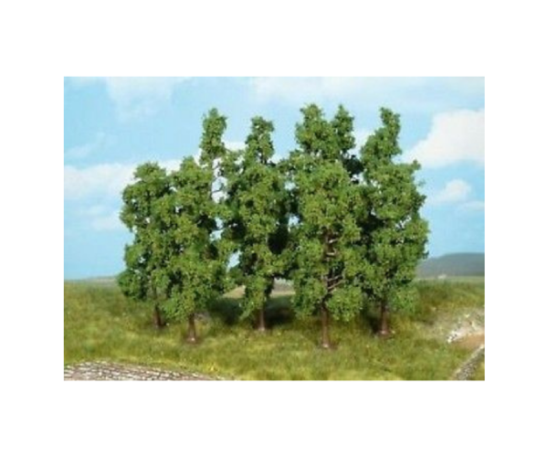 HEK1732 - 5 Fruitbomen 5-9 cm - 1