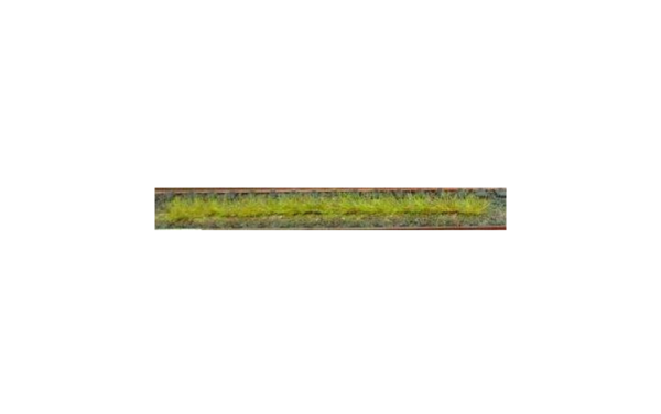 HEK1810 - Pak van 10 lentegrasstroken 10 cm - 1