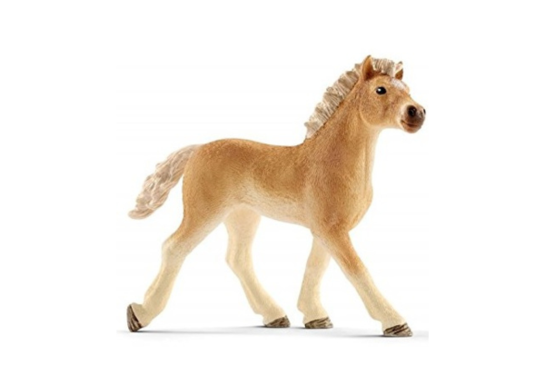 SHL13814 - Haflinger veulen - 1