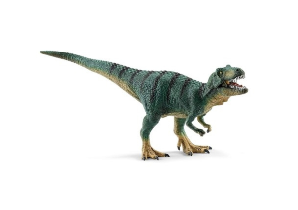 SHL15007 - Jonge Tyrannosaurus Rex - 1