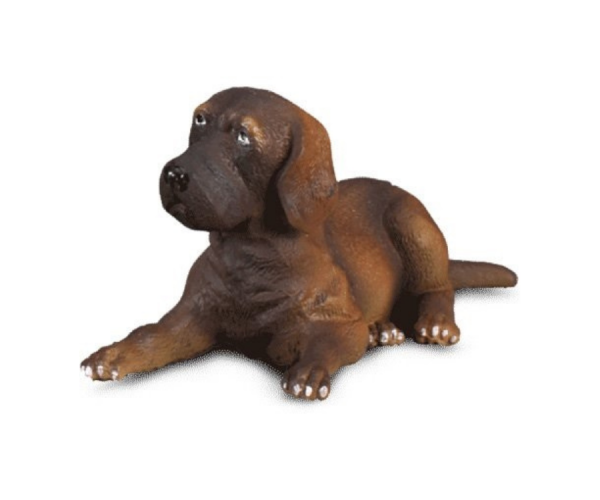 COLL88065 - Liggende Duitse dog pup - 1
