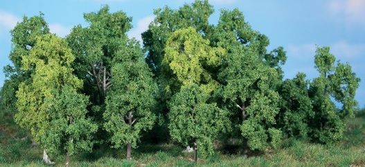 HEK1992 - 14 Loofbomen 5-12 cm - 1