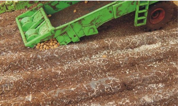 JUW23384 - 8 verwelkte aardappelplanten lengte van één plant 7;5 cm hoogte 1 cm aardappelen inbegrepen - 1