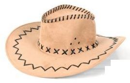LP00008 - Beige cowboyhoed - 1