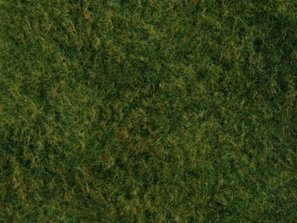 NOC07280 - Wild gras blad; lichtgroen 20 x 23 cm - 1