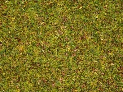 NOC08330 - Gras met bloemen - 2;5 mm - 20 g - 1