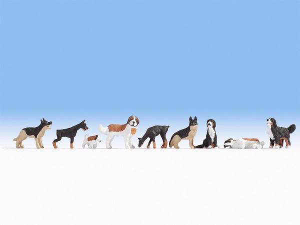 NOC15717 - Veel verschillende honden - 1