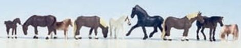 NOC15761 - Diverse paarden - 1