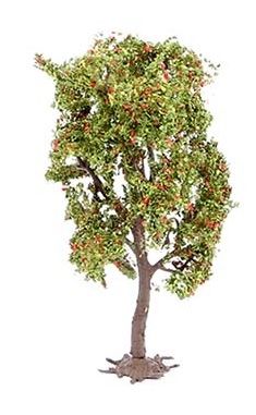NOC21650 - Lijsterbes - 11;5 cm - 1