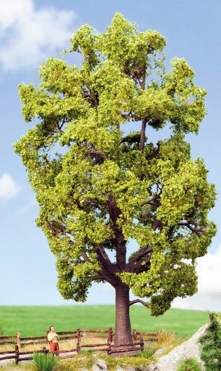 NOC21781 - Lindehout 18.5cm - 1