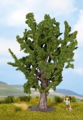 NOC25860 - Eiken - 15cm - 1