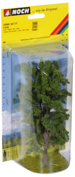 NOC25880 - Lindehout 18.5 cm - 1