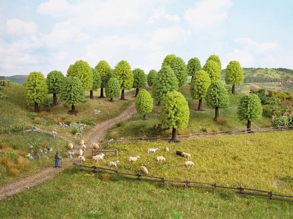 NOC26901 - 10 Lommerrijke bomen - 5 - 9 cm - 1