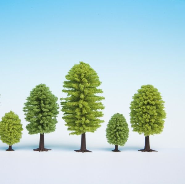 NOC26902 - Kavel van 5 lommerrijke bomen met een hoogte van 5 tot 9 cm - 1