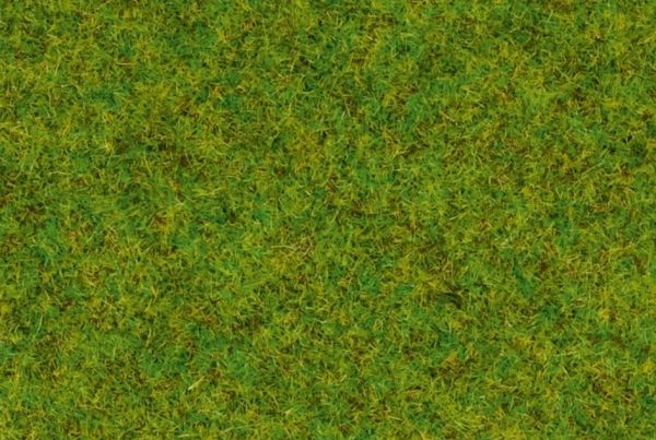 NOC50210 - Gras; middengroen - 100 g - 2;5 mm - 1
