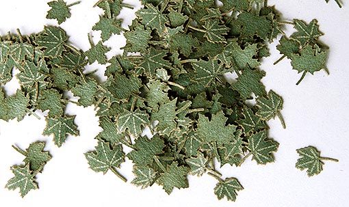 PLS253 - mm miniatuur groene esdoornbladeren voor diorama - 1