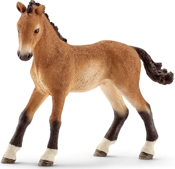 SHL13804 - Tennessee Walker veulen - 1