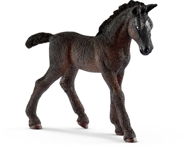 SHL13820 - Lippizaner veulen - 1