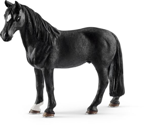 SHL13832 - Tennessee Walker Ruin - 1