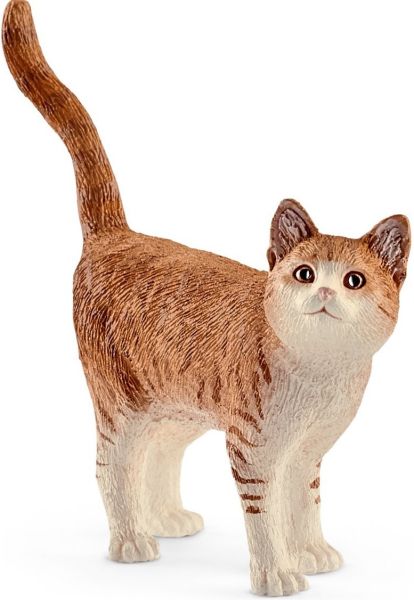 SHL13836 - Kat - 1