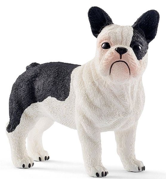 SHL13877 - Franse bulldog - 1