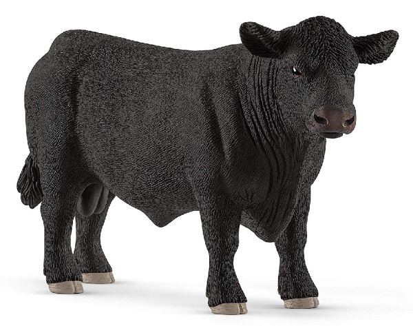 SHL13879 - Angus stier - 1