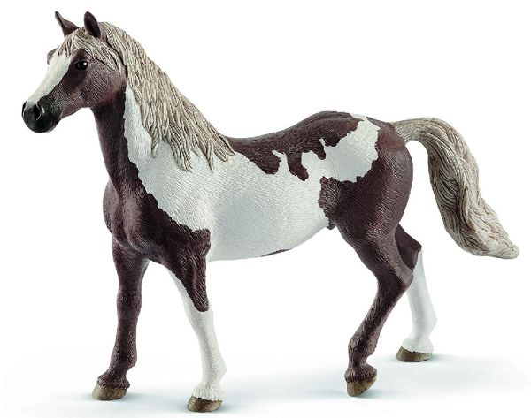 SHL13885 - Paint Horse Ruin - 1