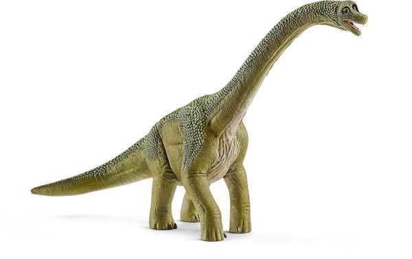 SHL14581 - Brachiosaurus - 1
