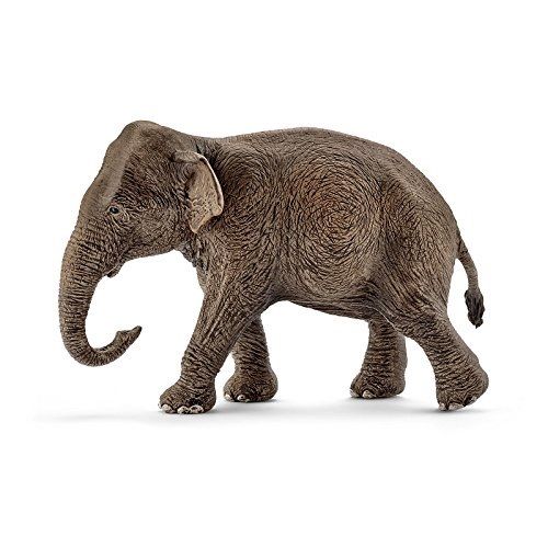 SHL14753 - Aziatische olifant - vrouwelijk - 1